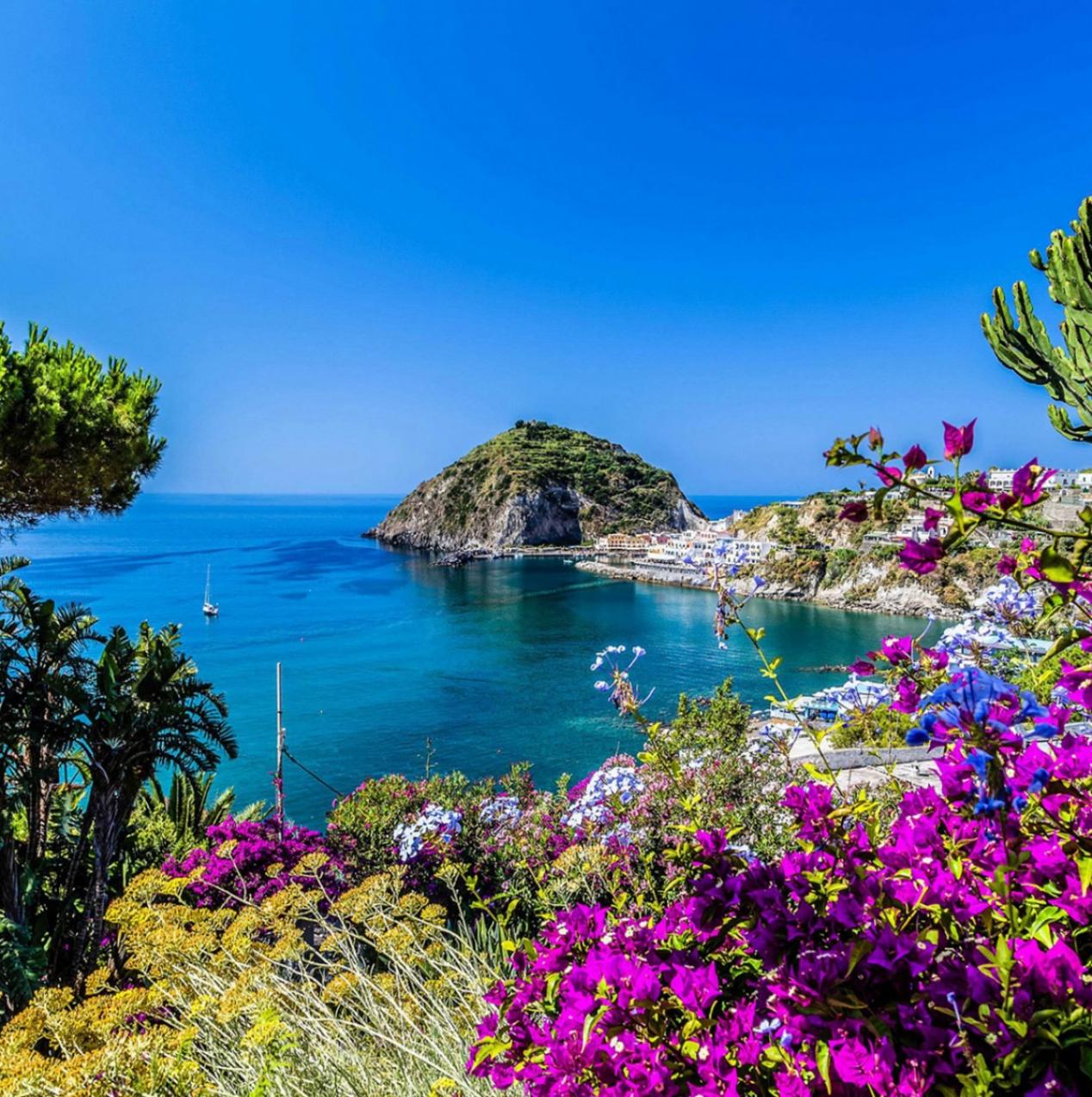 Tour in barca di Ischia